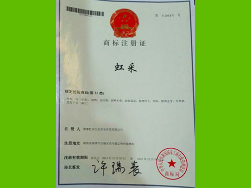 商标注册证
