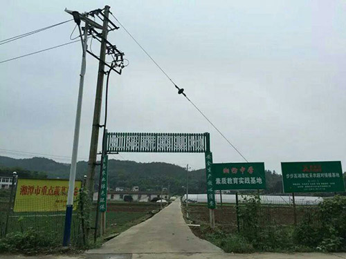 无公害果蔬