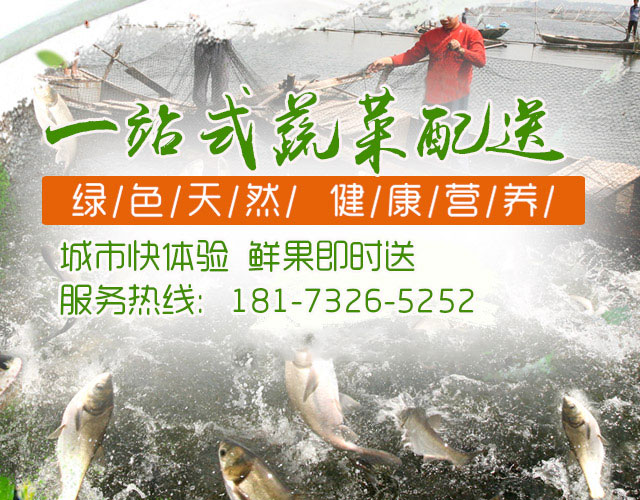 湘潭虹采生态农业开发有限公司_湘潭蔬菜配送|湖南果蔬种植基地|蔬菜种植